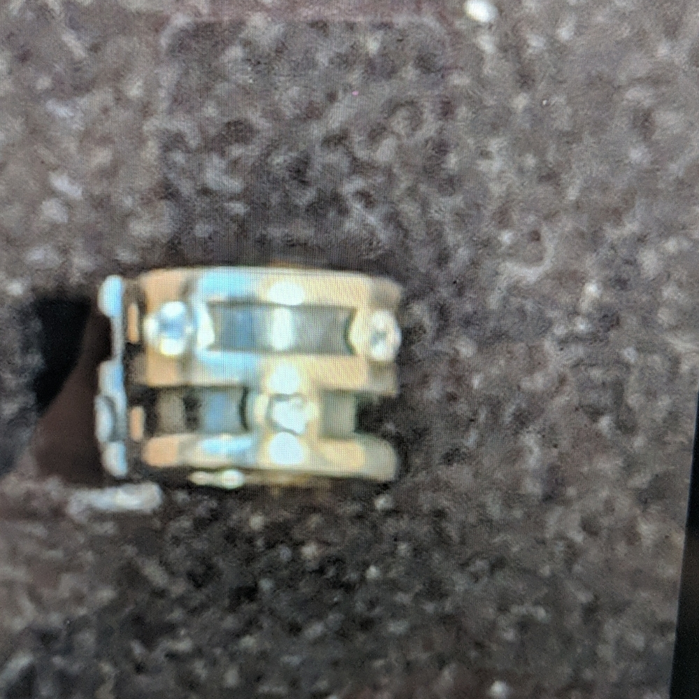 Pandora Clip